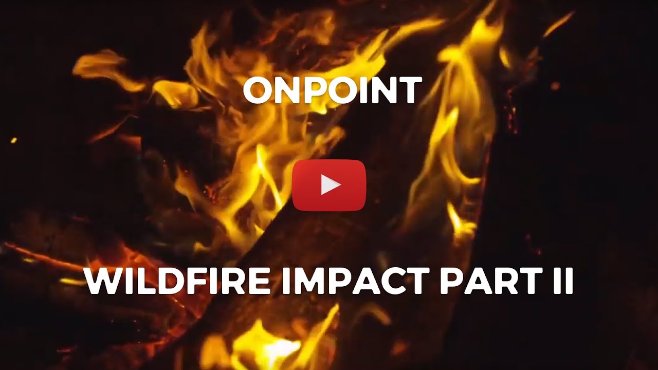 On Point: Wildfire Impact II