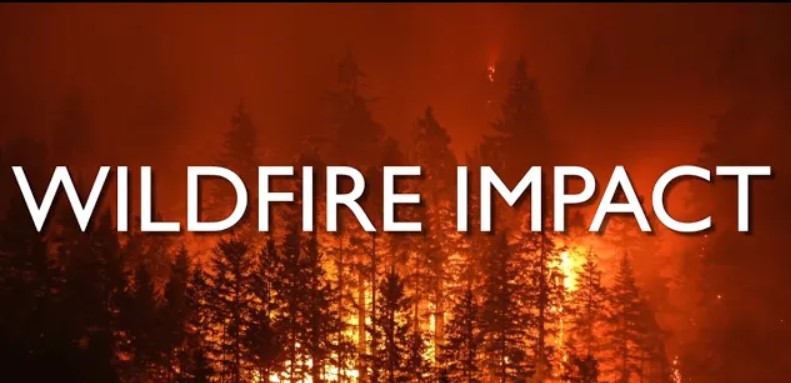 On Point: Wildfire Impact